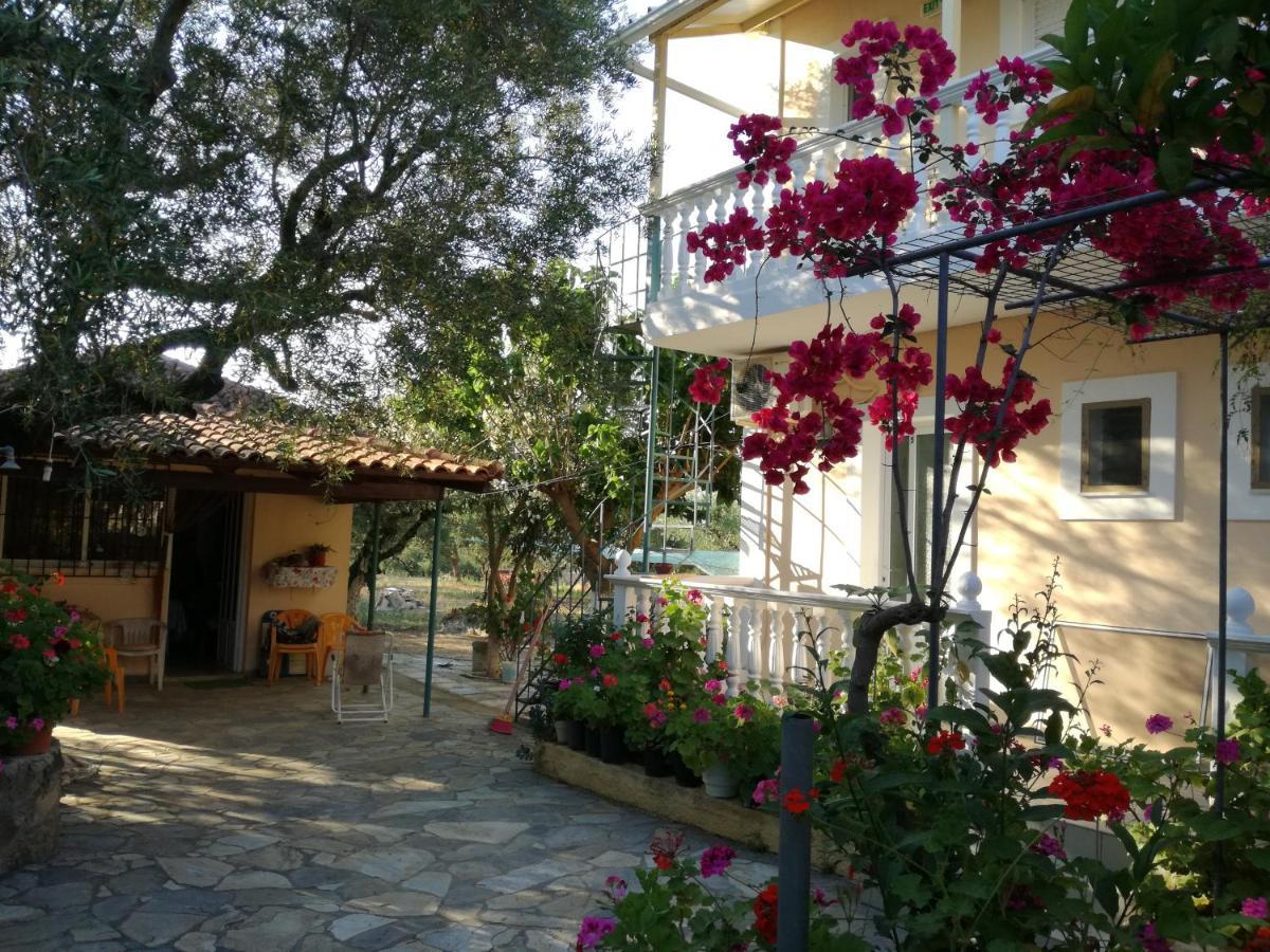 Casa Dyonisia Tsilivi Apart otel Plános Dış mekan fotoğraf