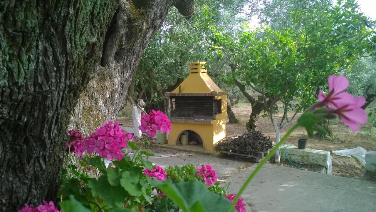 Casa Dyonisia Tsilivi Apart otel Plános Dış mekan fotoğraf