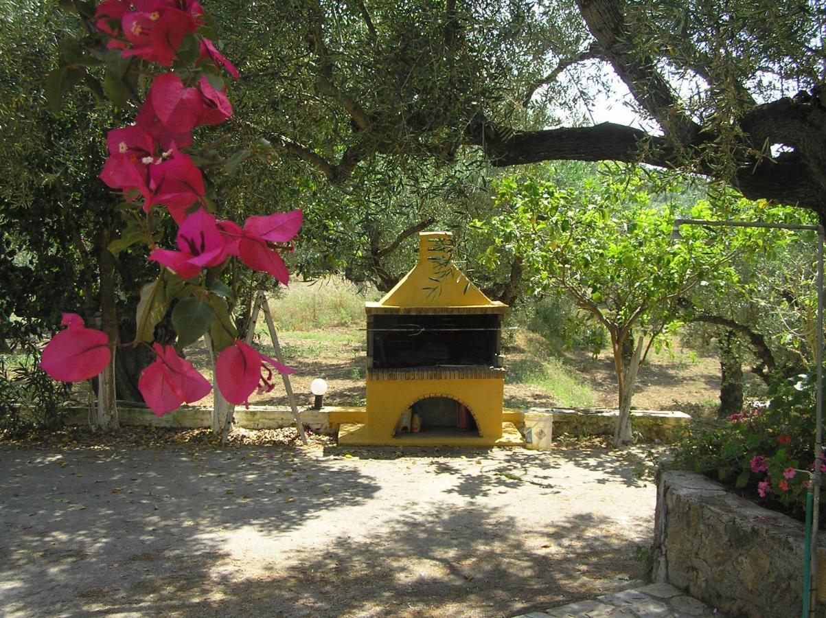 Casa Dyonisia Tsilivi Apart otel Plános Dış mekan fotoğraf